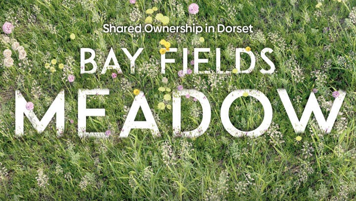 Photo of Bay Fields Meadow