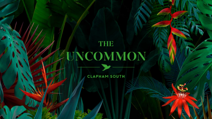The Uncommon